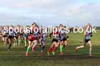Girls Under-13s 2026 Northern Cross Country Champs., Pontefract Racecourse, Pontefract. Photo: David T. Hewitson/Sports for All Pics